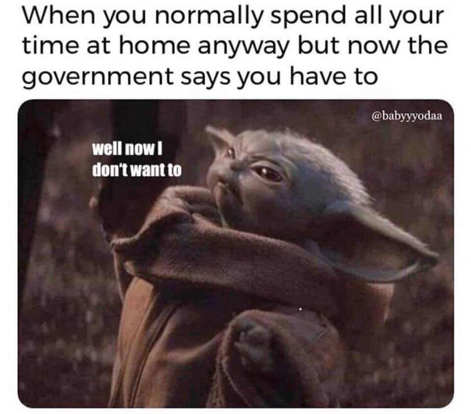 government says